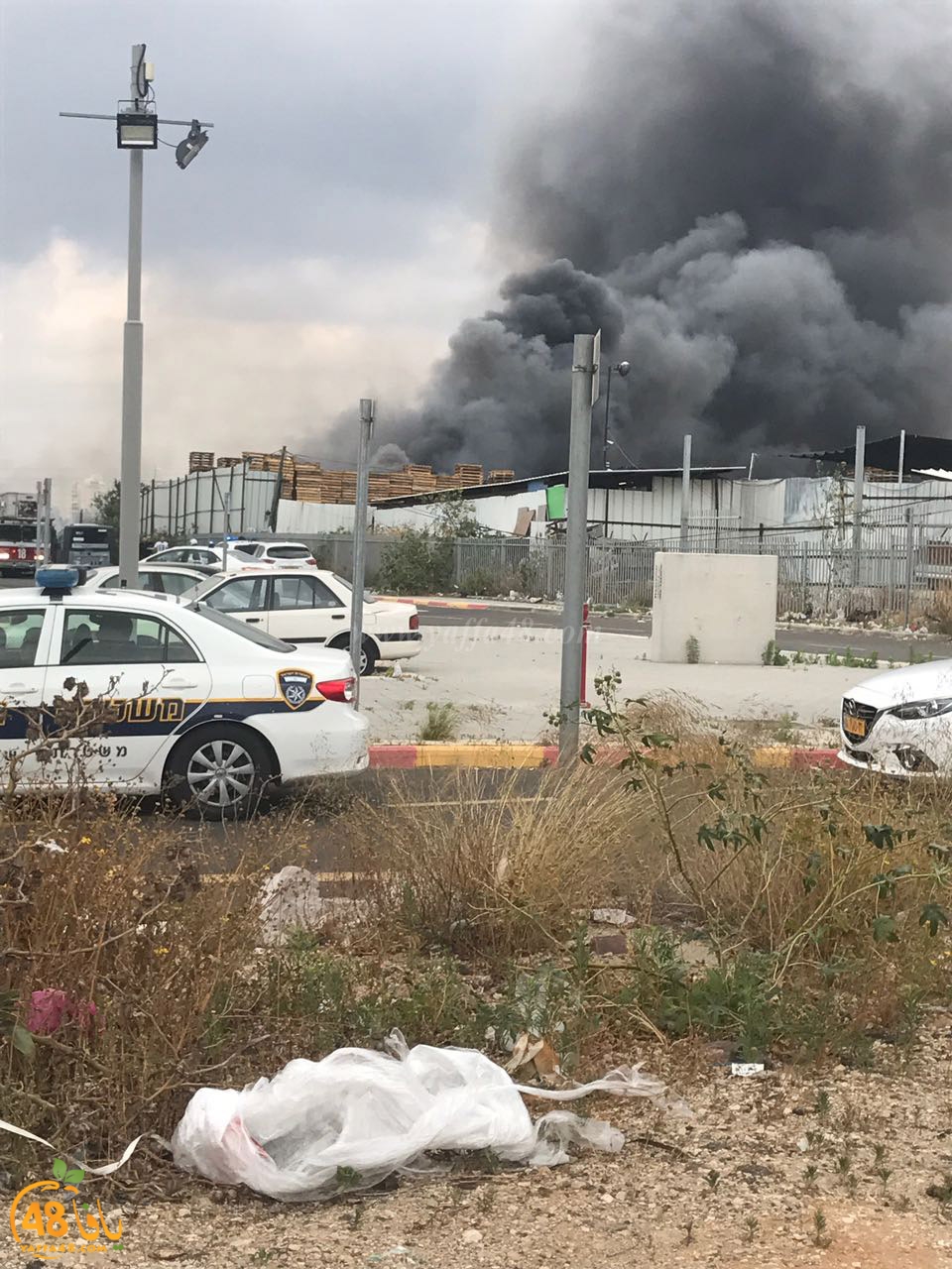 firbus eastyaffa (3).jpg